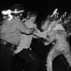 Photo Book Recalls 1988 Tompkins Square Park Riots